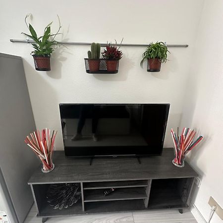 B&B Luna Rosa Pisa Luaran gambar